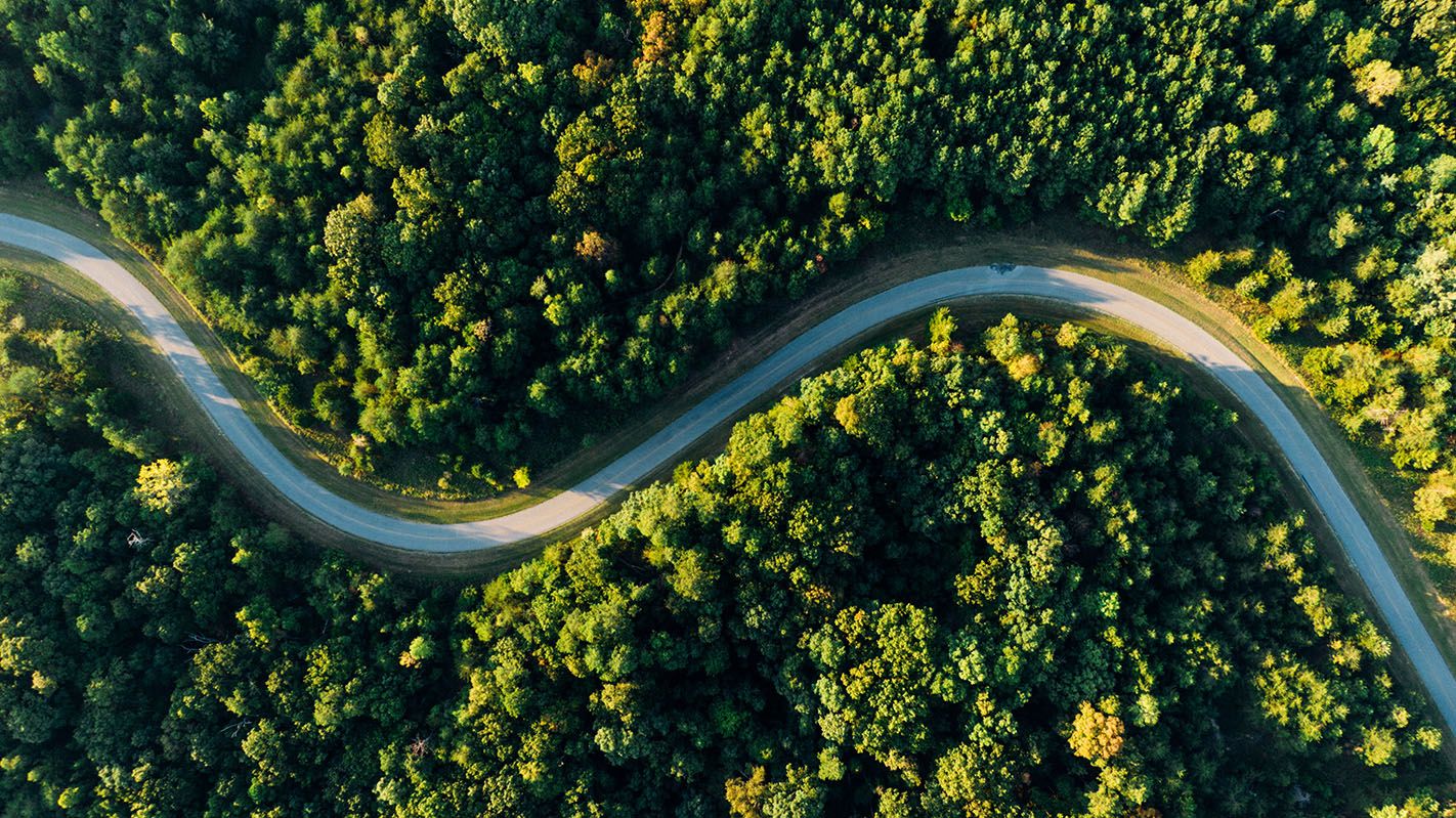 Programa de Beneficios por Servicios Ambientales de la Provincia de Misiones - ECO2